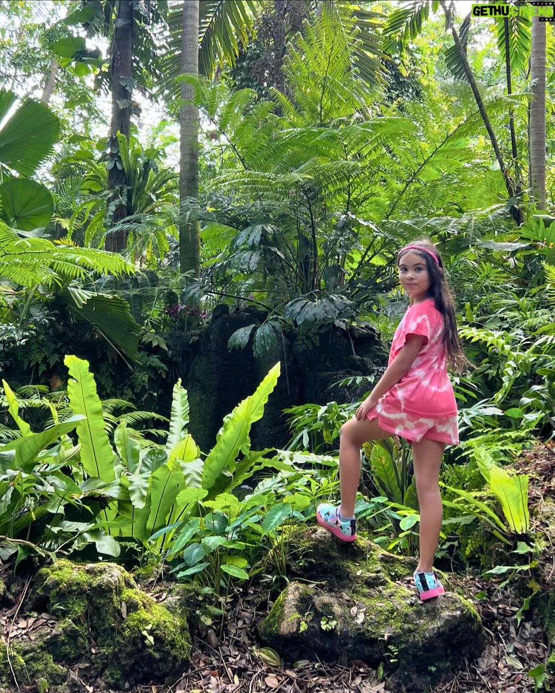 Maura Rivera Instagram - Sábado 🌳🌳🌳 #fairchildtropicalgarden Miami, Florida