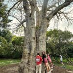 Maura Rivera Instagram - Sábado 🌳🌳🌳 #fairchildtropicalgarden Miami, Florida