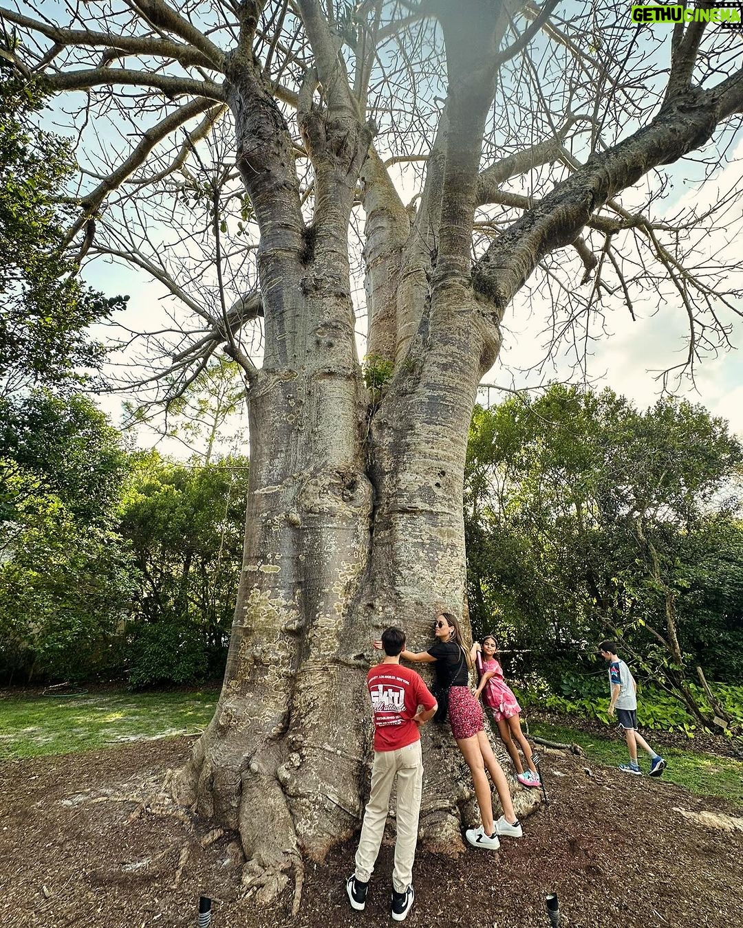 Maura Rivera Instagram - Sábado 🌳🌳🌳 #fairchildtropicalgarden Miami, Florida