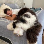 Mauricio Montaner Instagram – Mi siesta de hoy con Mao fue histórica… Hasta que el mismo me despertó ladrando porque habían tocado el timbre. El susto también fue histórico.