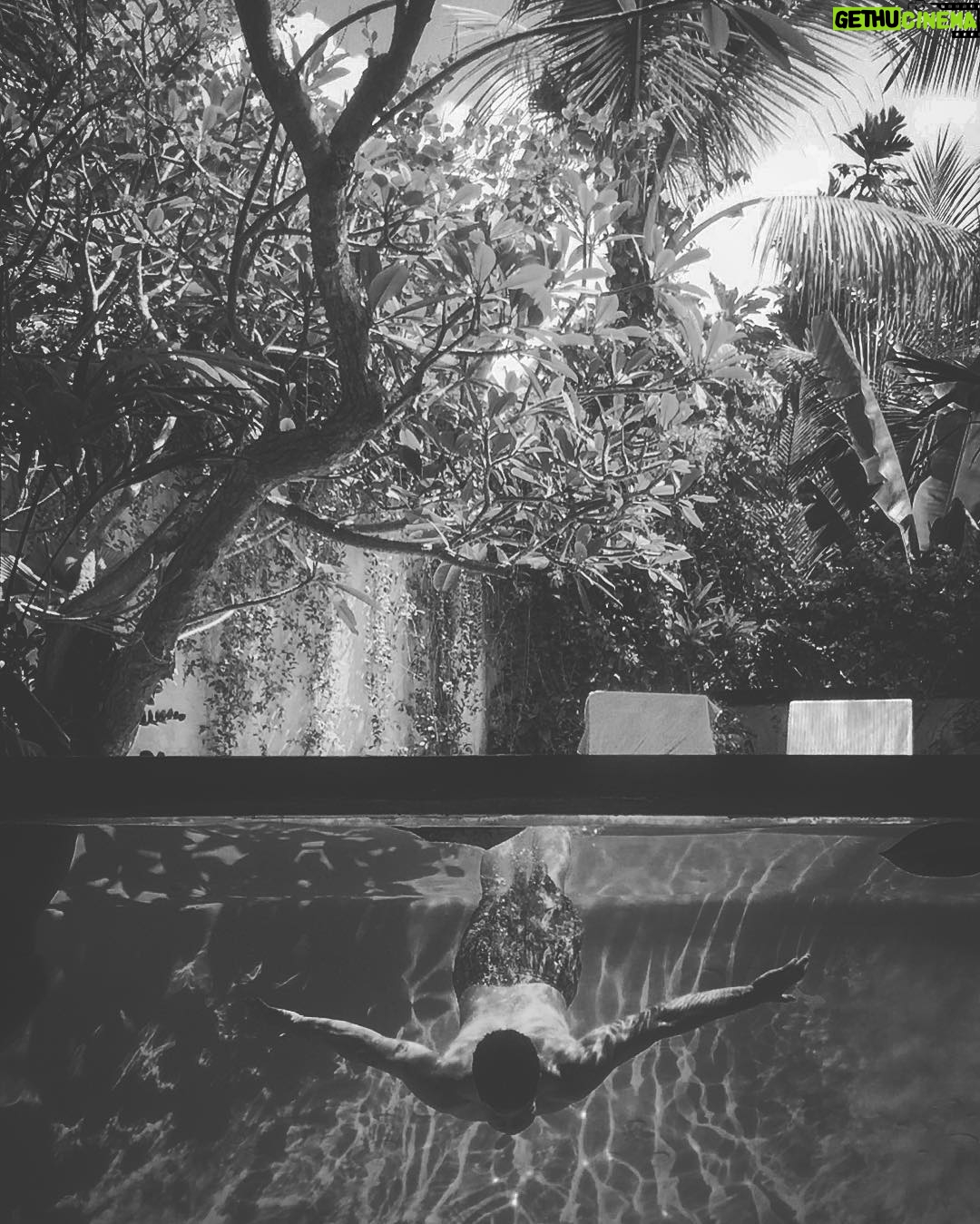 Max Carver - 45.6K Likes - 🏝