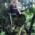 Max Carver Instagram – Homies 🐒🐘 Sacred Monkey Forest Sanctuary, Ubud, Bali, Indonesia