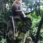 Max Carver Instagram - Homies 🐒🐘 Sacred Monkey Forest Sanctuary, Ubud, Bali, Indonesia