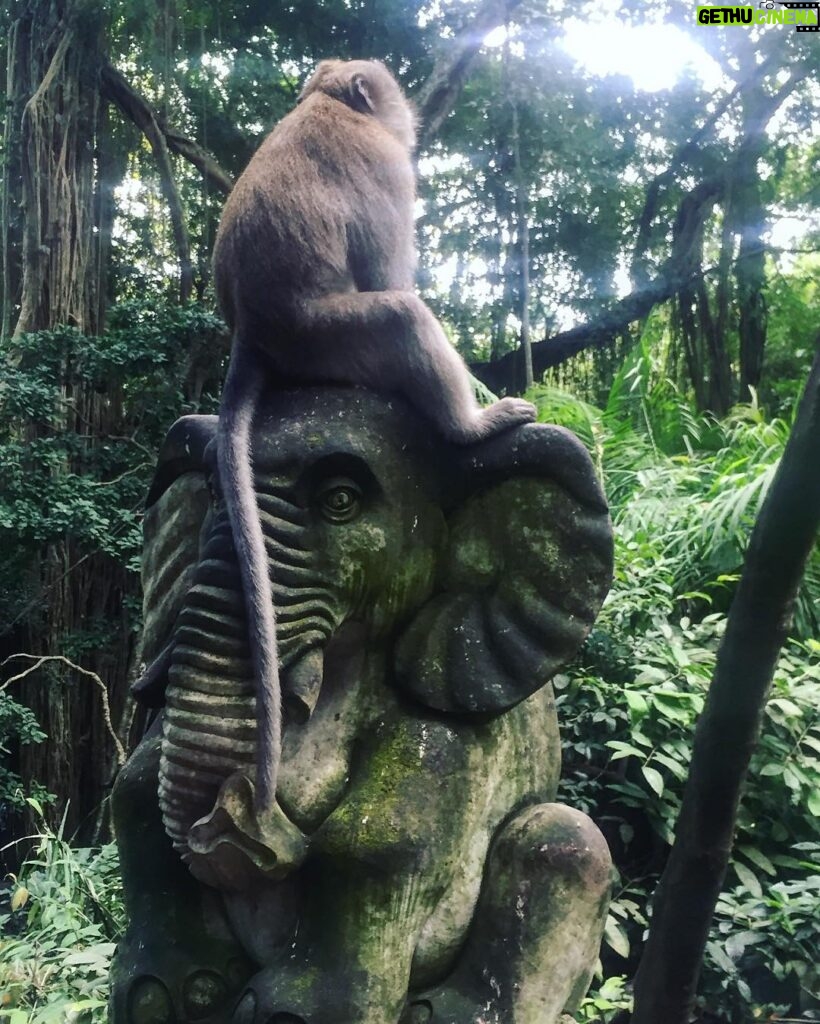 Max Carver Instagram - Homies 🐒🐘 Sacred Monkey Forest Sanctuary, Ubud, Bali, Indonesia