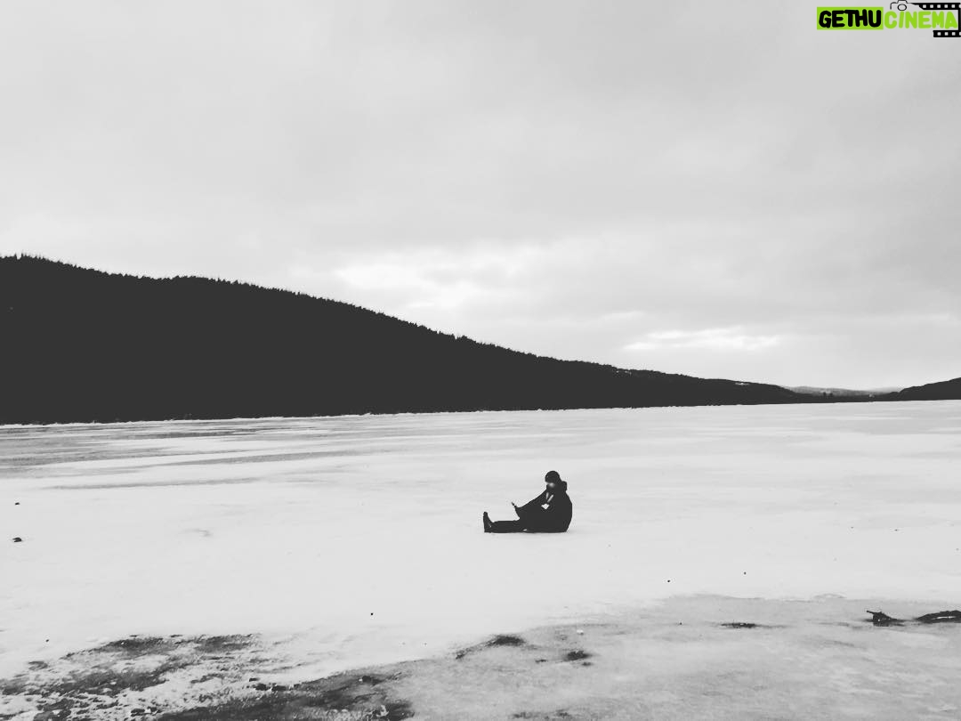 Max Carver - 48.2K Likes - 🇸🇪