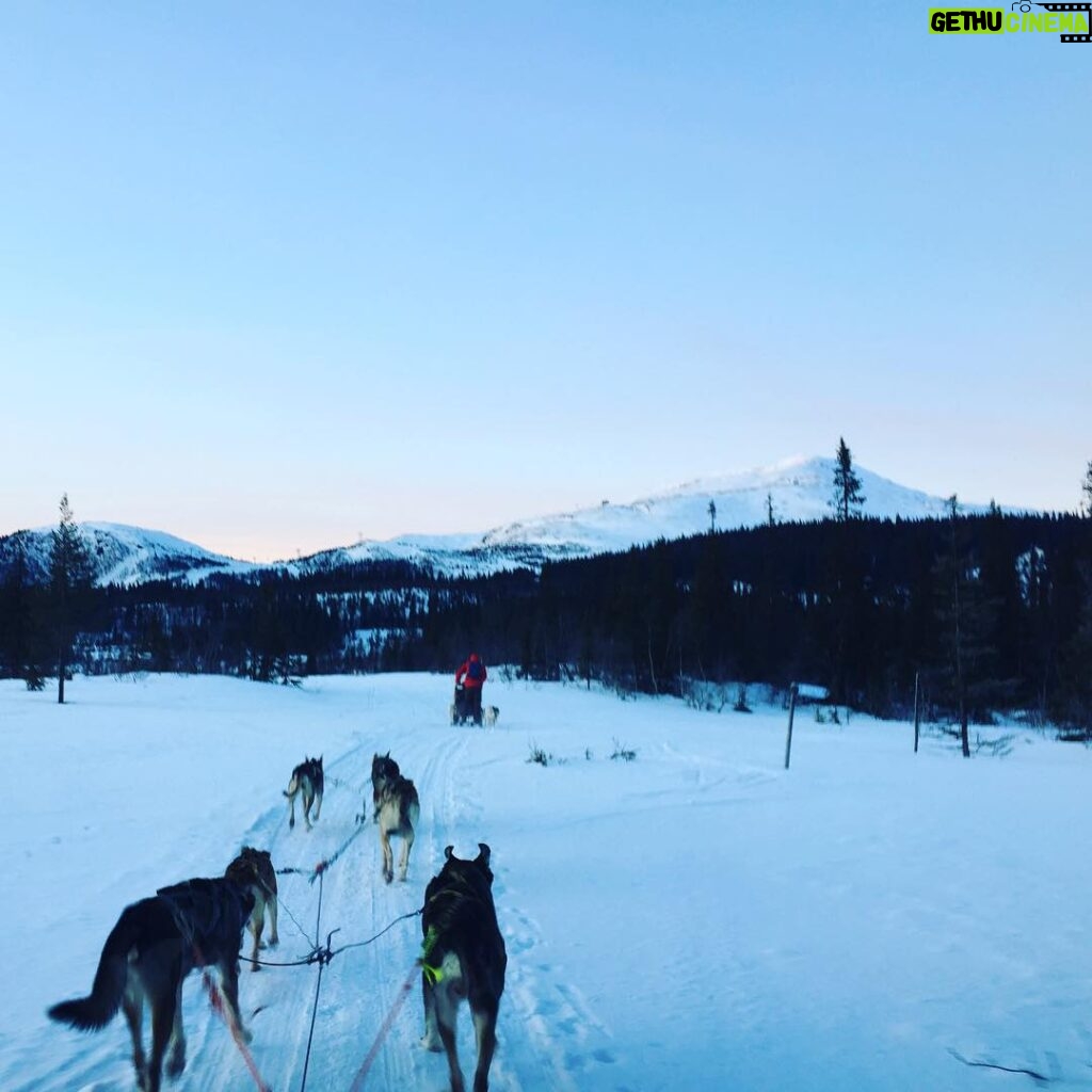 Max Carver Instagram - Well that was an adventure... @danielsharman Åre, Sweden