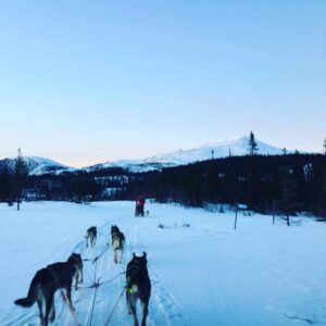 Max Carver Instagram - Well that was an adventure... @danielsharman