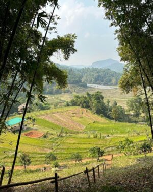 Max Carver Instagram - Reflecting on the wonderful experience I got to have while visiting Thailand. From the incredible food, the beautiful culture to our most gracious hosts @rayaheritage every day felt like a carefully curated dream adventure! I hope that these pictures capture in some small degree the majesty of Chiang Mai and that they may inspire you to visit some day. I can’t wait to visit again! Thank you @rayaheritage ! #travel #thailand #vacation #escape #chiangmai #getaway #adventure #rayaheritage