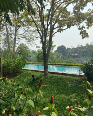 Max Carver Instagram - Reflecting on the wonderful experience I got to have while visiting Thailand. From the incredible food, the beautiful culture to our most gracious hosts @rayaheritage every day felt like a carefully curated dream adventure! I hope that these pictures capture in some small degree the majesty of Chiang Mai and that they may inspire you to visit some day. I can’t wait to visit again! Thank you @rayaheritage ! #travel #thailand #vacation #escape #chiangmai #getaway #adventure #rayaheritage