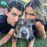 Max Greenfield Instagram - Meet Darlene ❤️ @wagsandwalks ❤️ #themostbeautifulgirlintheworld @tesssanchezgreenfield
