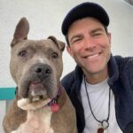 Max Greenfield Instagram - Marlon and Lizzie. A Good Boy and a Good Girl Both AVAIL for adoption at @wagsandwalks I love them ❤️