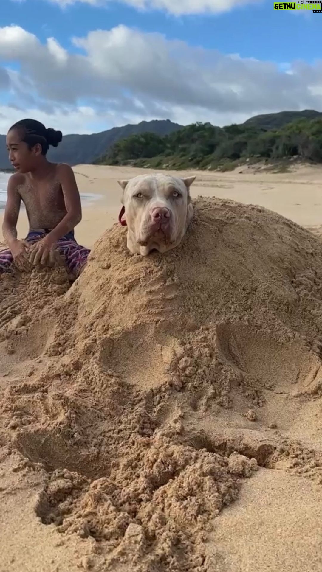 Max Holloway Instagram - When you want to escape but remember that they provide you with love, food and water 😂
