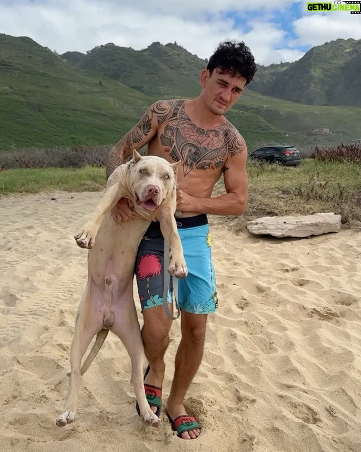 Max Holloway Instagram - Slide for how we got here 😂