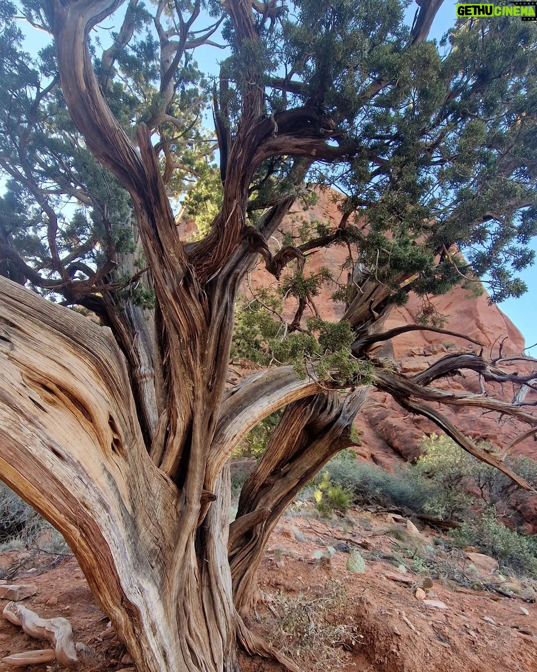 Maxi Iglesias Instagram - Estos días de Pascua aprendí lo que es el "Vortex" Those days in Sedona, I've been thinking and knowing more about energys, rocks,shooting stars and "animal" rocks.."bannaada" "serefe" and other good stuff surrounded by good people..👌🏽 This is a place that inspires, recharges, uplifts, soothes, restores and so much more..I've been said, that for many, the very act of being here provokes a spiritual awakening.. " No one leaves Sedona unchanged" and that it's true. 💚 Thanks Brandon for the plan 💥 Sedona, Arizona