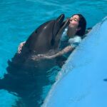 Mayan ElSayed Instagram - More from my Eid Vacay🐬💕