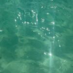 Mayan ElSayed Instagram - My Eid photo dump pt1 🍉
