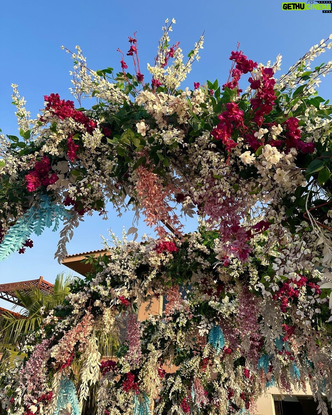 Mayan ElSayed - 394.7K Likes - Happily ever after💐
