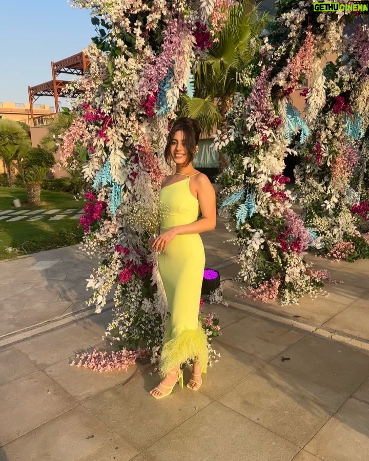 Mayan ElSayed - 394.7K Likes - Happily ever after💐