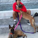 Meagan Good Instagram - Who da’thunk dis catwoman’d become a dog mom 🤷🏽‍♀️🤣 Those who know me know how truly bizarre this is 👀😂🥰