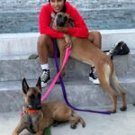 Meagan Good Instagram - Who da’thunk dis catwoman’d become a dog mom 🤷🏽‍♀️🤣 Those who know me know how truly bizarre this is 👀😂🥰