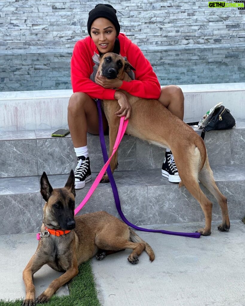 Meagan Good Instagram - Who da’thunk dis catwoman’d become a dog mom 🤷🏽‍♀🤣 Those who know me know how truly bizarre this is 👀😂🥰