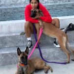 Meagan Good Instagram - Who da’thunk dis catwoman’d become a dog mom 🤷🏽‍♀️🤣 Those who know me know how truly bizarre this is 👀😂🥰
