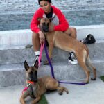 Meagan Good Instagram - Who da’thunk dis catwoman’d become a dog mom 🤷🏽‍♀️🤣 Those who know me know how truly bizarre this is 👀😂🥰