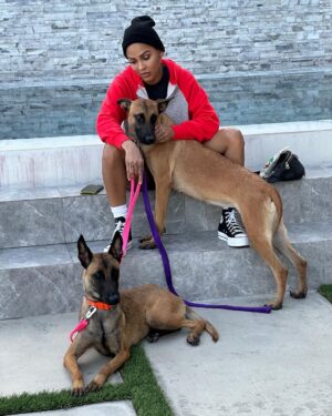 Meagan Good Instagram - Who da’thunk dis catwoman’d become a dog mom 🤷🏽‍♀️🤣

Those who know me know how truly bizarre this is 👀😂🥰