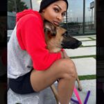Meagan Good Instagram - Who da’thunk dis catwoman’d become a dog mom 🤷🏽‍♀️🤣 Those who know me know how truly bizarre this is 👀😂🥰