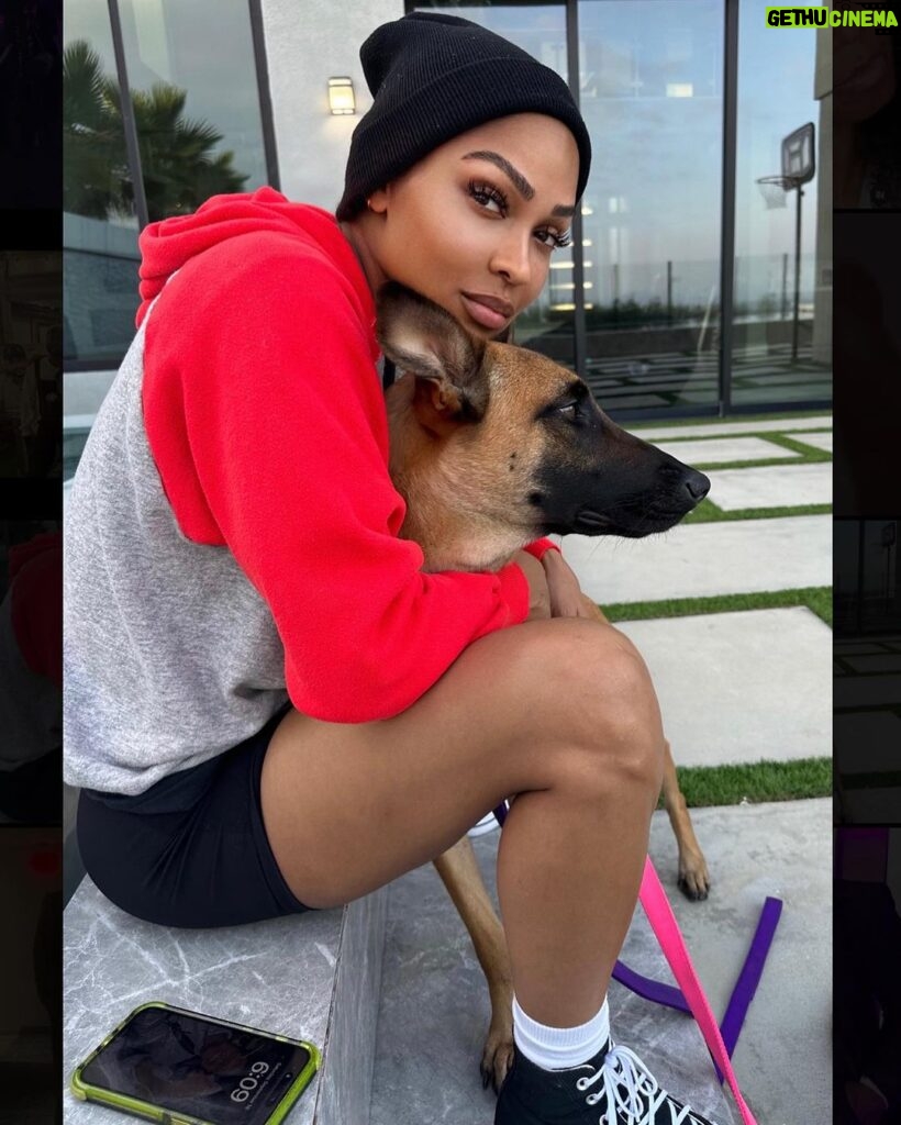 Meagan Good Instagram - Who da’thunk dis catwoman’d become a dog mom 🤷🏽‍♀🤣 Those who know me know how truly bizarre this is 👀😂🥰
