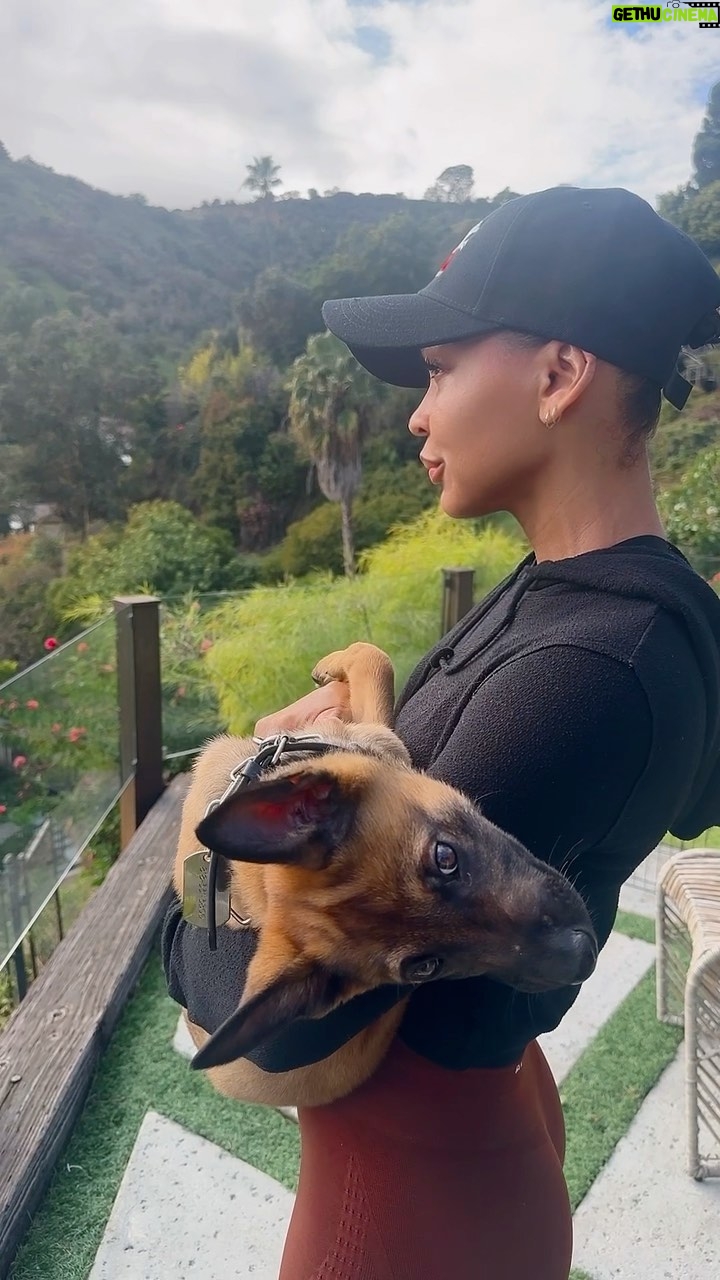 Meagan Good Instagram - Mᴇɴᴛᴀʟ Hᴇᴀʟᴛʜ Mᴏʀɴɪɴɢs . sᴘᴇɴᴅɪɴɢ ᴛɪᴍᴇ ɪɴ Gᴏᴅ’s ᴘʀᴇsᴇɴᴄᴇ, ʀᴇғʟᴇᴄᴛɪɴɢ, ᴘʀᴀʏɪɴɢ .. ʟᴏᴠɪɴɢ ᴏɴ ᴍʏsᴇʟғ . 𝟷) ʙᴇɪɴɢ ɪɴ ᴄᴏᴍᴘʟᴇᴛᴇ ɢʀᴀᴛɪᴛᴜᴅᴇ ᴏғ ɢᴏᴅs ʟᴏᴠᴇ 🙏🏾.. ᴀɴᴅ ᴏғ ᴀɴsᴡᴇʀᴇᴅ ᴘʀᴀʏᴇʀs 🤲🏾 𝟸) sᴘᴇɴᴅɪɴɢ ᴛɪᴍᴇ ᴡɪᴛʜ ᴏᴜʀ ɴᴇᴡ ᴘᴜᴘᴘʏ “ʙɪsʜᴏᴘ” 🐕 𝟹) ᴜsɪɴɢ ᴏɴᴇ/ᴛᴡᴏ ᴏғ ᴍʏ ғᴀᴠᴠᴠᴏʀɪᴛᴇ ᴘʀᴏᴅᴜᴄᴛs ғᴏʀ ᴛʜᴇ Bᴇsᴛ sᴋɪɴ ᴇᴠᴇʀ @drdiamondsmetacine 🧴!! 𝟺) ᴄᴏᴍɪɴɢ.. ғᴏʀ ᴇᴠᴇʀʏ sɪɴɢʟᴇ ᴛʜɪɴɢ ᴛʜᴇʏ sᴀɪᴅ ɪ ᴄᴏᴜʟᴅɴ’ᴛ ʜᴀᴠᴇ . 𝟻) sᴍɪʟɪɴɢ, ʙᴇᴄᴀᴜsᴇ ʙᴇᴛᴡᴇᴇɴ ᴍᴇ + ɢᴏᴅ -ᴡᴇ ᴋɴᴏᴡ ᴛʜᴇ ʙᴇsᴛ ɪs ʏᴇᴛ ᴛᴏ ᴄᴏᴍᴇ. 🦋