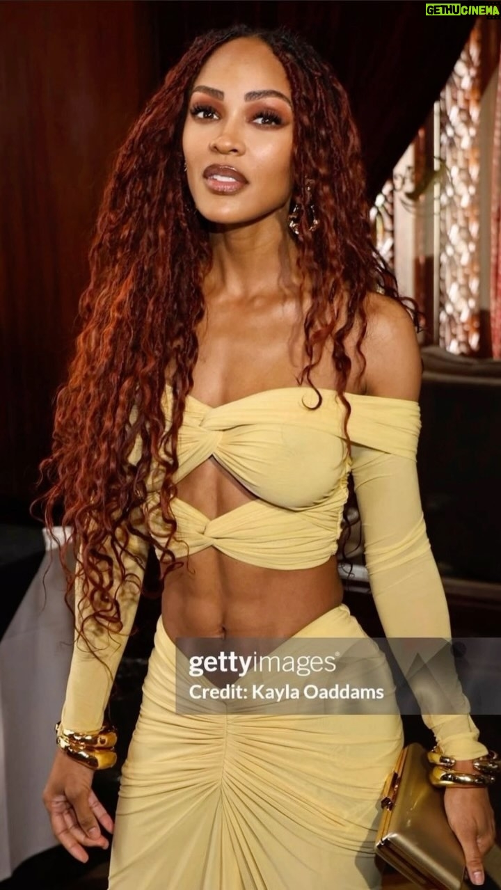 Meagan Good Instagram - Thank you @AAFCA for having us ππΎ . Such a beautiful and important afternoonβ¦ honored. π| @jorge__monroy π| @bagoddess π| @philippeuter π| @ronnykobo π| @alexisbittar