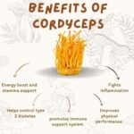 Megha Gupta Instagram - If you understood the benefits of taking this beauty - the adaptogenic mushroom Cordyceps, you would never go back to any chemically artificial pre workout. I don’t wake up every single morning ready to crush it at the gym. Sometimes I need a little push and after some cordys I always have that extra bit to give to my workouts. They help to prevent damage and protect the brain. The benefit of Cordyceps to brain health can help to minimise the impact of ageing and so reduce the risk of age-related cognitive decline, including the onset of conditions such as Dementia & Alzheimer's disease. It helps people adapt to and manage stress, anxiety, and fatigue, and is believed to enhance overall health, kidney and liver function, athletic performance, and cognitive abilities. They not only directly enhance the levels of serum LH and testosterone but also improves the sperm count. They have the potential to improve exercise capacity and resistance to fatigue. They benefit heart health and have anti-inflammatory and antioxidant properties. I personally take some every day with my coffee. Hope this knowledge helps you make some decisions for your health. Please note, sourcing is THE MOST important part of the consumption of this sacred mushroom. breathe well, megha #health #wellness #heal #mushrooms #adaptogenicmushrooms #healingmushrooms #t1d #diabetes #ootd #goa #india #biohacking