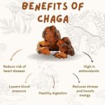 Megha Gupta Instagram - I remember being introduced to this adaptogenic mushroom Chaga a few years ago. I was in Amsterdam for @biohackersummit and I was down and out with a bad cough, barely being able to speak. The good people at @london.nootropics let me to @kaapamushrooms and made me have a few drops of this magical thing. Magically, I was as good as new within a few minutes. I was flabbergasted to say the least. I bought the whole shop and diligently started using them in my daily routine. Game changer to say the least. Best thing for immunity, ever. Completely natural, comes from Earth Mother and has sacred powers. Never not having this or feeding the same to my loved ones 💜 #adaptogens #mushrooms #adaptogenicmushrooms #chaga #immunity #immunitybooster #immunitysupport #health #wellness #mushroom #ootd #heal #biohacking