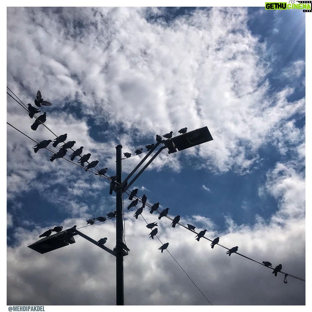 Mehdi Pakdel Instagram - چهل و دو پرنده نشسته بر روی سیم . #مهدی_پاکدل #تهران #پیاده_روی #عکاسی #تهرانگردی #تمرین_دیدن #موبایلگرافی Tehran, Iran