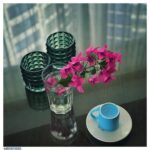 Mehdi Pakdel Instagram - . گل کاغذی نور عصرگاهی و فالی که خوانده نشد. . #مهدی_پاکدل #mehdipakdel #photography