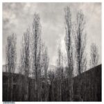 Mehdi Pakdel Instagram – زمستان آرام آرام، حجم سنگین سپیدش را چون ملحفهای در دستان مادر، به نرمی روی زمین میکشد. و ما همچنان چون اجدادمان به خواب فرو رفتهایم. .
#خواب_زمستانی#عکاسی#عکس#ایران#سیاه_سفید Iran