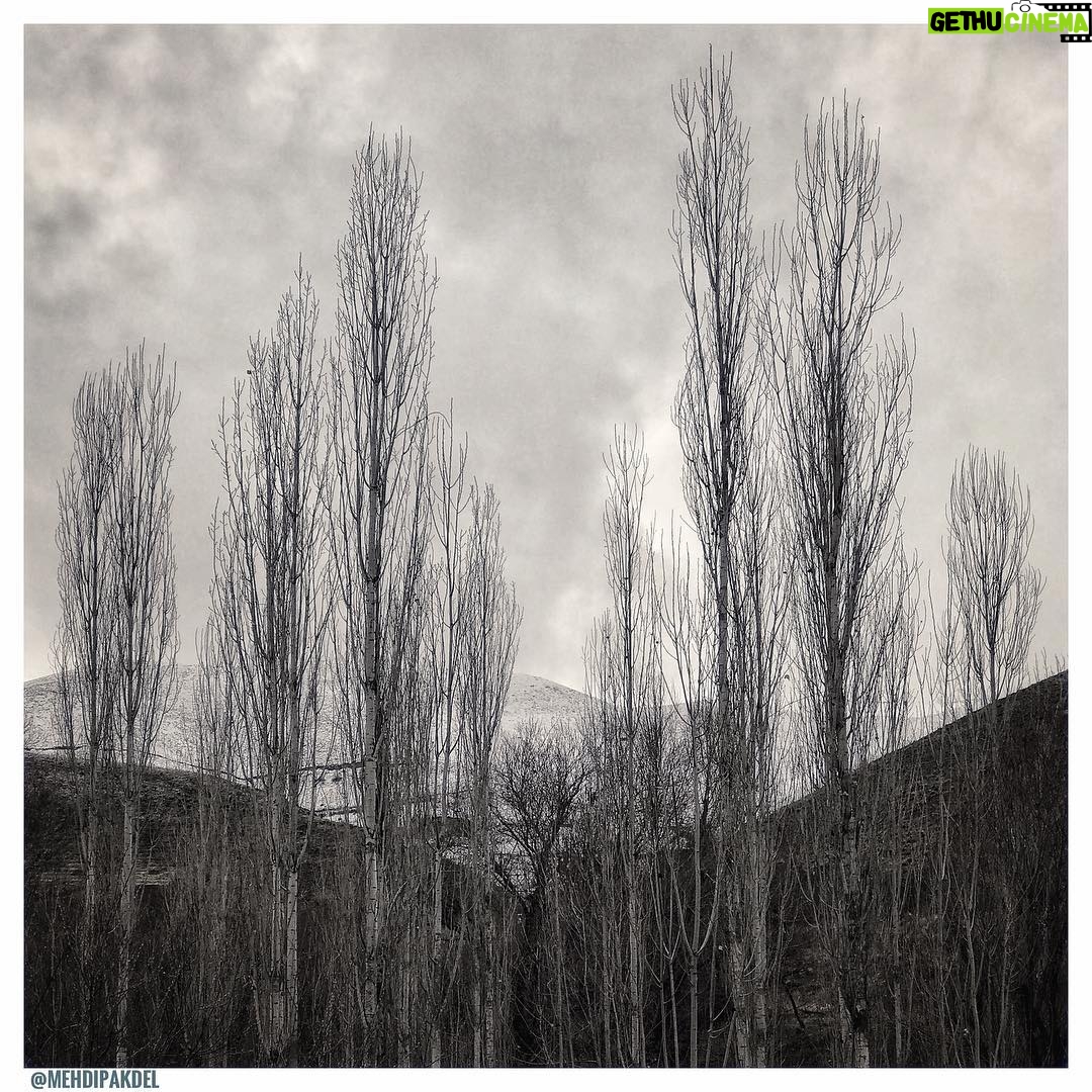 Mehdi Pakdel Instagram - زمستان آرام آرام، حجم سنگین سپیدش را چون ملحفهای در دستان مادر، به نرمی روی زمین میکشد. و ما همچنان چون اجدادمان به خواب فرو رفتهایم. . #خواب_زمستانی#عکاسی#عکس#ایران#سیاه_سفید Iran