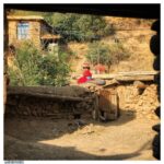 Mehdi Pakdel Instagram – روز جهانی کودک مبارک. .
همه با هم باید تلاش کنیم تا دنیا جای بهتری برای کودکان و نسل بعد باشه. کاش روزی بیاد که هیچ کودکی صدای شلیک هیچ گلوله‌ای‌رو نشنوه. به امید آن روز