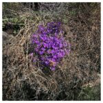 Mehdi Pakdel Instagram - برای زنان سرزمینم