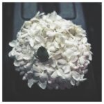 Mehdi Pakdel Instagram – .
آدم حسابى بودن خيلى چيز خوبيه. قرار هم نيست دكتر و مهندس و معروف و ويژه باشى. يا مثلاً تحصيلات ويژه اى داشته باشى يا خوشتيپ خوشگل باشى.
البته حتما بين گروه هاى بالا آدم حسابى هم پيدا ميشه. منظورم اينه كه لازمه ى آدم حسابى بودن شغل و سواد و موقعيت نيست.
آدم حسابى ها با شعورشون و نوع رفتارشون با جهان و آدم هاى پيرامون شون مى تونن آدم رو اميدوار كنن به ادامه زندگى و خيالت راحت باشه كه خدا هست و كمى از نورشو تو وجود بعضى آدما تابونده.
اين ظرف گل رو راننده محترم پروژه از ياس توى خونه اشون چيده بود و براى من آورد. من تشكر كردم و خيلى خوشحال شدم. وقتى به اتاق گريم اومدم متوجه شدم كه هر روز يك ظرف گل ياس براى يكى از عوامل پروژه مياره و خوشحال شون ميكنه و باعث ميشه همه با روحيه و انگيزه بيشترى كار كنن.
از ديشب تا حالا خونه ام بوى خوب انسانيت ميده همراه با عطر ياس.
#آدم_حسابى_باشيم.