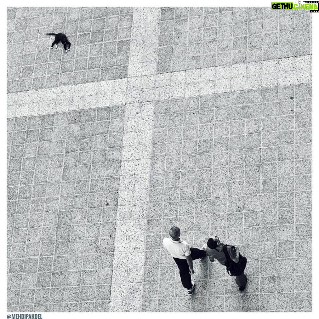 Mehdi Pakdel Instagram - نان‌ام مده، آب‌ام مده، آسایش و خواب‌ام مده ای تشنگی عشق تو، صد هم‌چو ما را خون‌بها . مولانا . #عکس #سیاه_سفید #عکاسی #بزرگداشت_مولانا #مولانا #نیکون Tehran, Iran