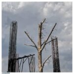 Mehdi Pakdel Instagram - . حقیقت همیشه با ضربه می‌آید. . سال بلو/هندرسون،شاه باران Tehran, Iran