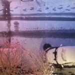 Mehdi Pakdel Instagram - . یک فیلمِ خیلی کوتاه