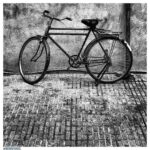 Mehdi Pakdel Instagram – .
دوچرخه‌ی یخ‌زده
فکرهایی در سر
دست‌هایی در جیب
و تابستانی که تمام نمی‌شود. .
#عکس #عکاسی #سیاه_سفید #ایران #تهران #هزارافسان #هم_گناه