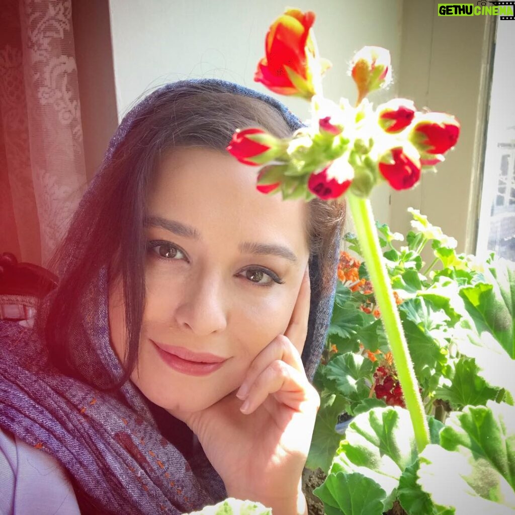 Mehrave Sharifinia Instagram - 🌹’ سال نو مبارک امیدوارم امسال از سال قبل خیلی بهتر باشه و برق چشم‌هامون از امید و رضایت و شادی لبریز شه. ❤️😍❤️ ‘ ‘ #عید #عیدنوروز #مهراوه_شریفی_نیا