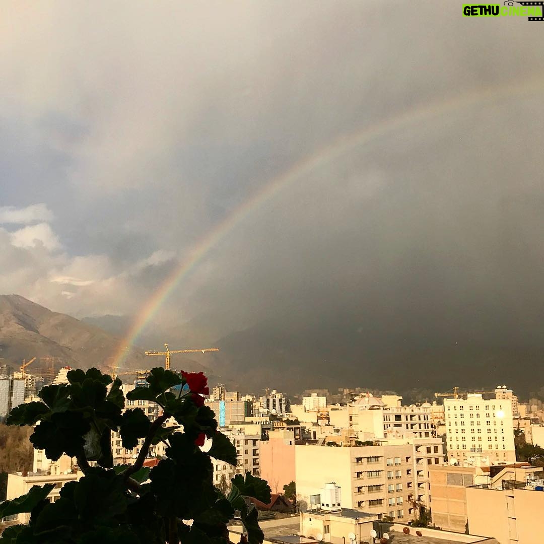 Mehrave Sharifinia Instagram - 🍂🌈🍁’ توی این شهر خاکستری میون اینهمه دود و کثیفی بازم رنگین کمون، با هفت رنگش شهر رو قشنگ میکنه و به سیاهیها بی اعتناست. ‘ ‘ ‘ #تهران #رنگین_کمان ‘ ‘ 📷&📝 Mehrave ‘