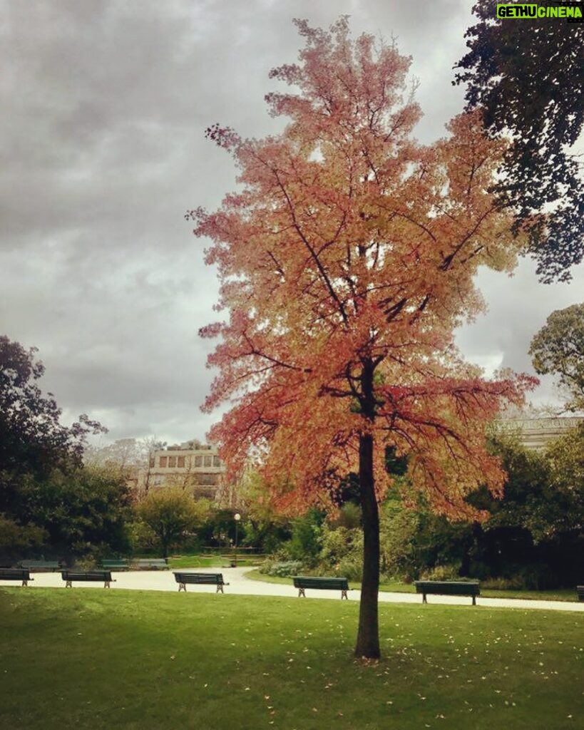 Mehrave Sharifinia Instagram - 🍂🍁’ این هوای ابری و نم‌نم بارون و رنگ درخت‌ها و چای نوشیدن‌های مدام، روحِ عشاقِ پاییز رو، مثل من، تازه می‌کنه. ماه زیبای آبان هم شروع شد، کم‌کم داریم به روزهای اوجِ خزان نزدیک می‌شیم. همین روزهاست که ترافیک و چراغ‌قرمزهای شهر از عطر نرگس و زیباییش لبریز بشن❤️ ‘ دلم می‌خواد همیشه پاییز باشه. ‘ پی‌نوشت: الف: 📚اگه در خوندن کتاب «خانه‌ی لهستانی‌ها» همراه ما هستین و کتاب رو تهیه کردین، لطفا خوانش اول و دوم رو گوش بدید و تا پنجشنبه، فصل سوم، یعنی از صفحه‌ی ۱۹ تا ۲۳ رو خودتون مطالعه بفرمایید. پنجشنبه‌ ۳ آبان ماه خوانش از صفحه‌ی ۲۴ تا ۲۷، انجام مى‌شه، فصلی که خودم خیلی دوستش دارم😍. لینک مراجعه به خوانش‌ها در بیو هست، مجبور نیستید عضو کانال بشید، می‌تونید صرفاً خوانش‌ها رو سیو کنید.🌹 ‘ ب: 👩‍❤️‍👩 و حالا می‌رسیم به مشکل اصلیِ ماهِ آبان: «به نظر شما من برای ملیکا❤️ کادوی تولد چی بخرم؟»😫 خودش نمی‌گه، انگار درخته😬، خب بگو بابا جان چی لازم داری دیگه، اَه👻 آدمو مجبور می‌کنه به فضای مجازی متوسل بشه. ‘ ‘ ‏Mehrave:📷&📝 ‘