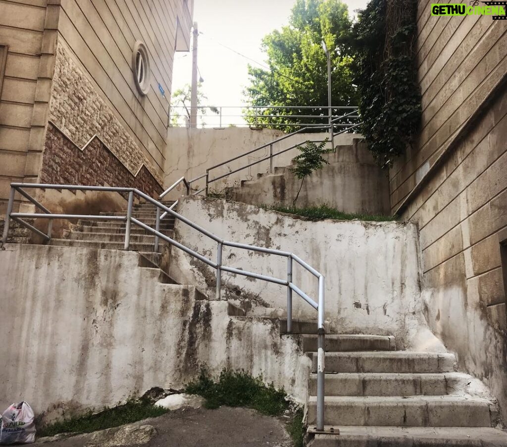 Mehrave Sharifinia Instagram - ... پله‌ها را که بالا بروم می‌رسم به عشق و عشق تنها چیزی‌ست که باعث می‌شود کیسه‌ی آشغال گوشه‌ی کادر را هم دوست داشته باشم. ‘ 📝&📷:mehrave ‘