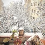 Mehrave Sharifinia Instagram - ❄️☃️🌨... بهم گفت: “گوش کن،صدای برف داره میاد.” من خندیدم و گفتم:”برف که صدا نداره، بارون صدا داره.” گفت:”صدای برف داره میاد، صدای ماشین‌ها رو گوش کن، صدای راه رفتن مردم، صدای درخت‌ها، صدای خیابون، این صدای برفه.” به زور از جام بلند شدم و همونطور که به سمت پنجره می‌رفتم گفتم:”نه بابا مگه می شه، دیشب اصلا خبری نبود، اشتباه می‌کنی.” بعد پرده رو کشیدم بالا و دیدم همه جا سفیدپوش شده. حالا بعضی روزها تو زمستون که حوصله‌ی بیدارشدن ندارم و دنبال یه انگیزه می‌گردم، گوش‌هامو تیز می‌کنم تا بشنوم آیا صدای برف میاد؟ ولی انگار صدای برف فقط تو گوش عده‌ی خاصی می‌شینه. من نمی‌تونم تشخیص بدم. انگار قسمته که همیشه کبوترهای خوش خبر به من بگن “پاشو برو پشت پنجره بیرون رو نگاه کن ببین چه برفی میاد.” کاش منم امروز کبوتر خوش خبر شما باشم. ❄️🌨 ‘ #برف